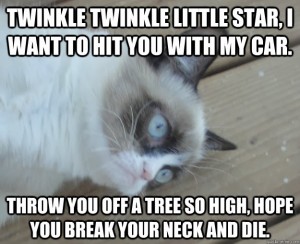 Grumpy Cat, be nice... if that is even possible for you to do.